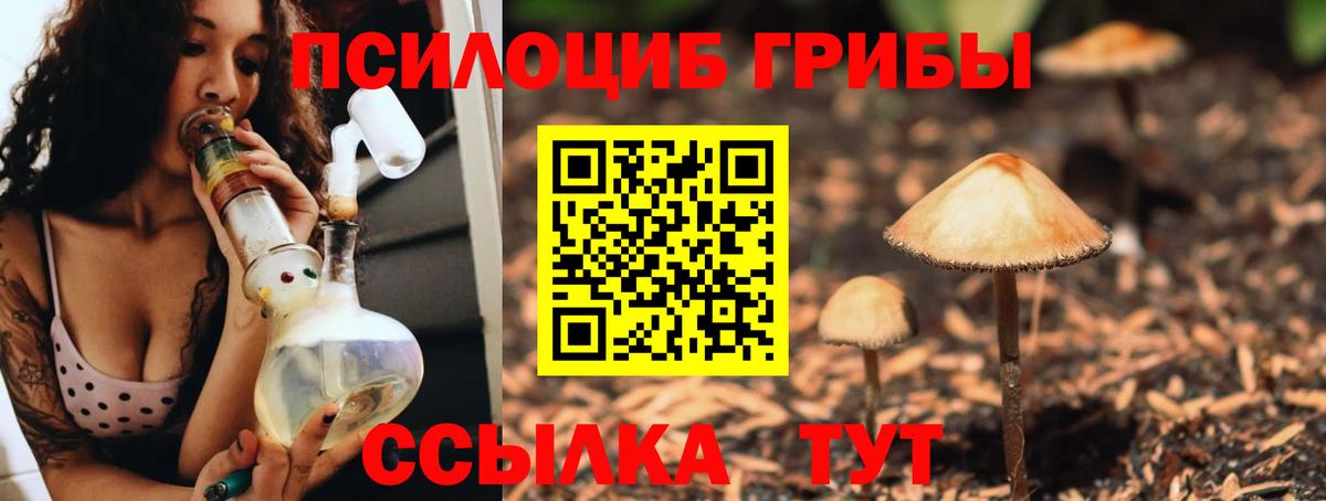 Галлюциногенные грибы Magic Shrooms  Вход с VPN  Кстово 