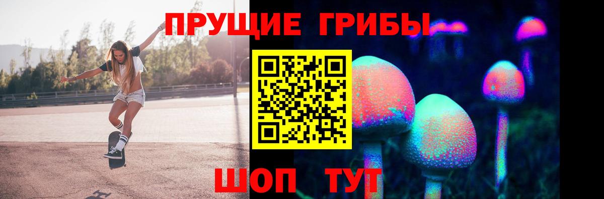 Галлюциногенные грибы прущие грибы Кстово